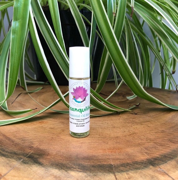 Croix Médaillon Collier Fit Parfum Fragrance Huile Essentielle Aromathérapie Diffuseur