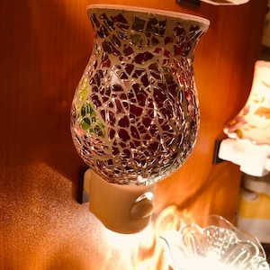 Farmhouse garden porcelain plug in night light cozy home decorations