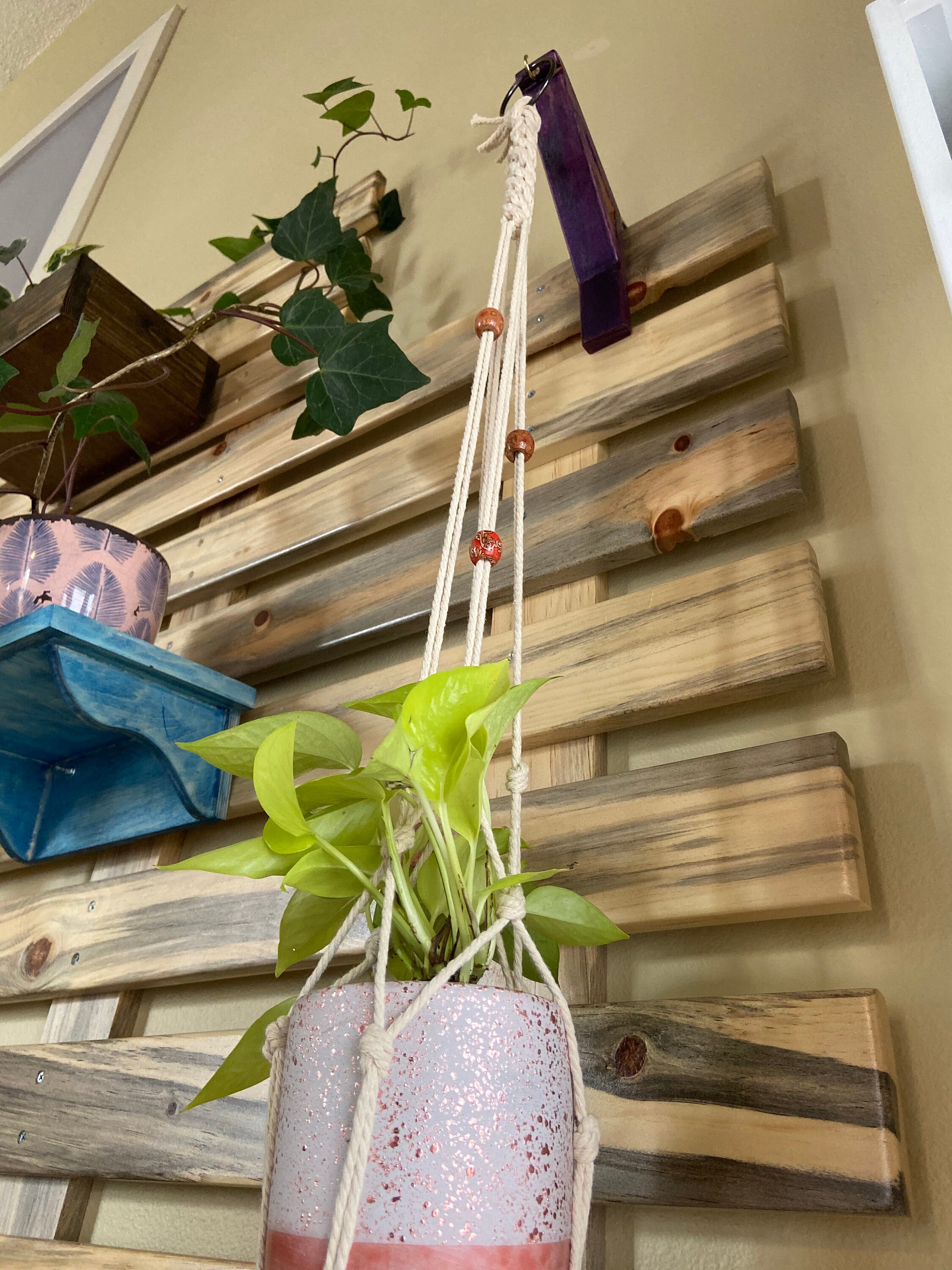 Plant Slat Wall Etsy