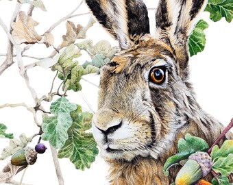 Hare and Oak - 6x5 - Giclee print - Art print - farmhouse decor, wall decor, collectible - Nature, animal, rabbit, drawing, illustration
