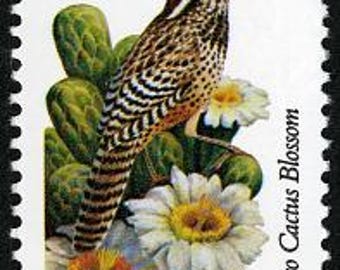 アリゾナ州立サボテンミソサザイ 鳥と花 1982年 20セント 未使用切手 6