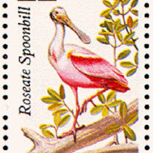 20x ROSEATE SPOONBILL BIRD American Wildlife 1987 22c Unused Vintage Postage Stamp. Free Shipping! #1 Source. Best prices on Vintage stamps