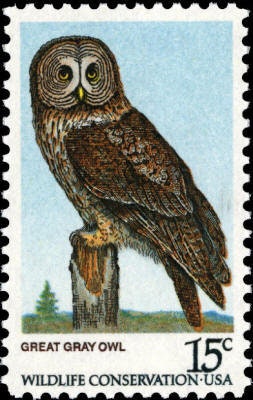 10x Great Gray OWL Strigiformes Birds Unused 1978 15c Postage Stamps Free Shipping! Your #1 source w