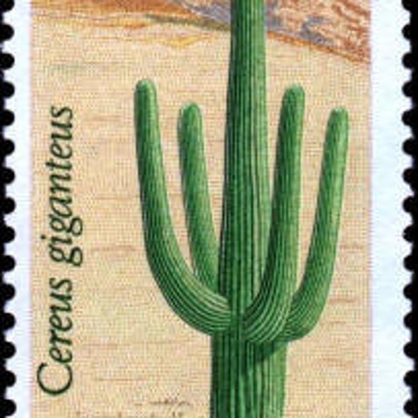 6x SAGUARO CACTUS Desert Plants Succulents  1981 20c Unused Postage Stamps Free Shipping!  #1 Source Best Prices on Vintage postage stamps