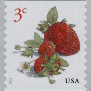 25x STRAWBERRIES Red Strawberry Fruit Unused 3c Red Postage Stamp Free Shipping #1 Source Best Prices on Vintage Stamps