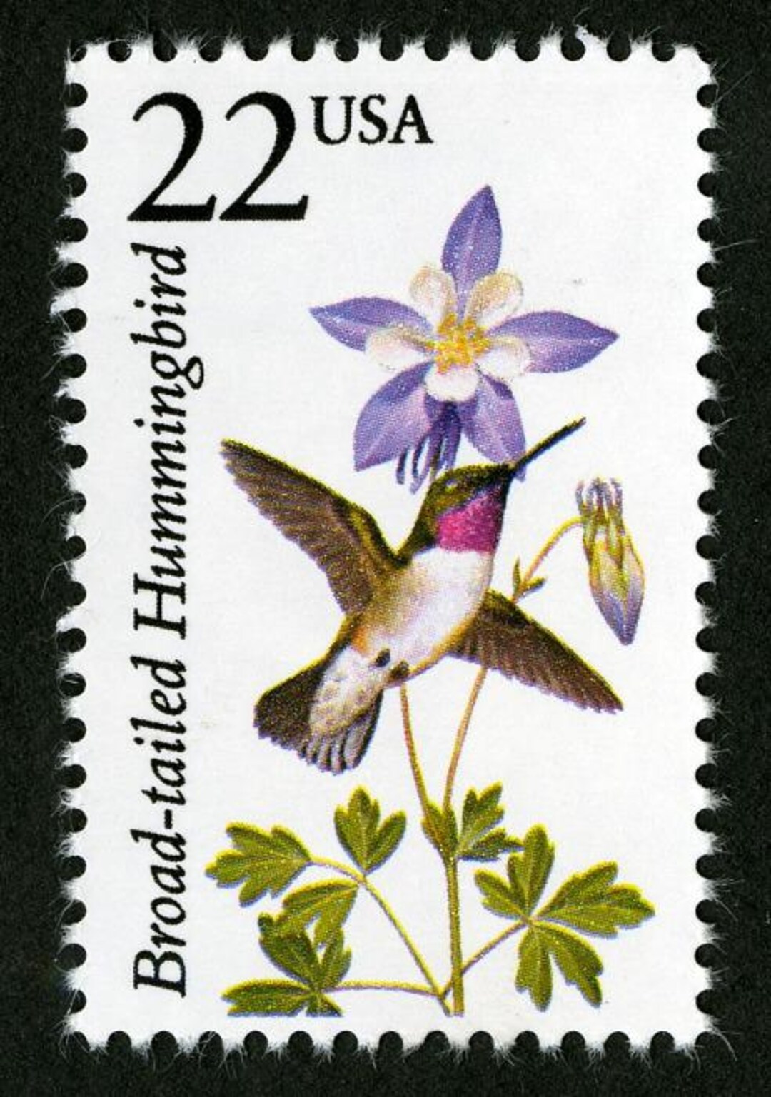 美品 Hummingbird PU付エレアコ G社シール２枚 USAストラップ il_1080xN.6835858555_b84y.jpg