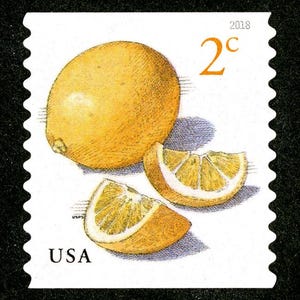 35 sellos amarillos Meyer Lemons, cítricos, árboles botánicos, sin usar, de 2 centavos. Envío gratis. Los mejores precios en sellos antiguos.