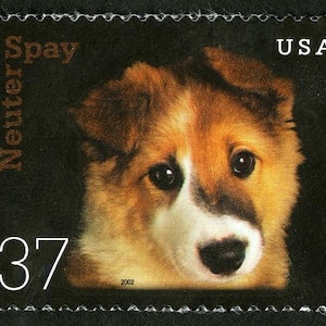 6x PUPPY Spay Neuter DOGS SPCA 2002 37c Unused Postage stamp. Free Shipping! #1 Source Best Prices on Vintage Stamps