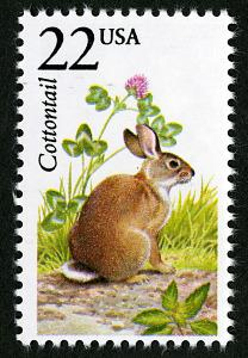 Cheap Rabbit Stamps 5x COTTONTAIL RABBIT Easter Bunny Wildlife 1987 22c Unused Postage ...