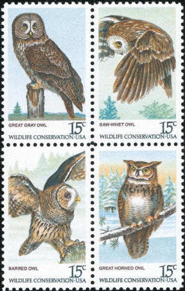 12x OWLS Strigiformes Birds Raptors 4 Different Unused 1978 15c Postage Stamps Free Shipping! #1 sou