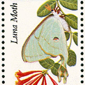 10 Vintage Butterfly Stamps Unused Tiger Swallowtail Butterflies Vintage  Postage for Mailing Invitations and Cards