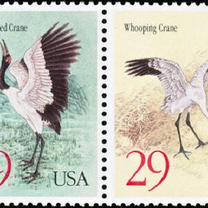 6 sellos postales GRÚAS Aves Raras 2 Diff 1994 29c Verde Amarillo Sin Usar. ¡Envío gratis! La mejor fuente de sellos antiguos con los mejores precios.