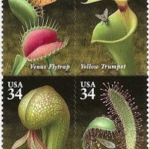 Könnte beinhalten: Vier US-Briefmarken mit fleischfressenden Pflanzen. Die Briefmarken zeigen eine Venusfliegenfalle, eine Gelbe Trompete, eine Kobra-Lilie und einen Englischen Sonnentau. Jede Briefmarke trägt den Text "USA 34".