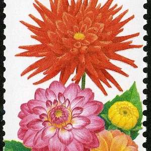 Peut inclure: Un timbre-poste américain représentant trois dahlias en gros plan. Le timbre est rouge, blanc et jaune avec le texte "32 USA" et "Dahlia" imprimé dessus. L'année "1995" est imprimée dans le coin inférieur gauche.