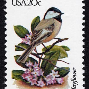 6x francobolli d'epoca inutilizzati con uccelli e fiori dello Stato del Massachusetts, Boston, 1982, 20 centesimi. Spedizione gratuita! #1 Fonte I migliori prezzi sui francobolli d'epoca