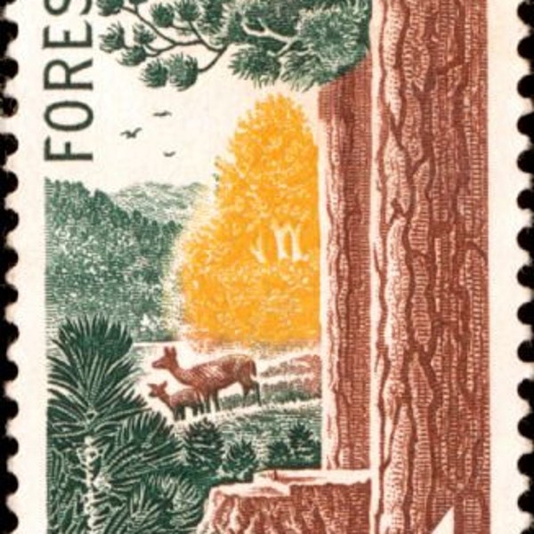 20x BOSBEHOUD BOMEN John Muir 1958 4c Ongebruikte postzegel Gratis verzending. #1 bron Beste prijzen voor vintage postzegels