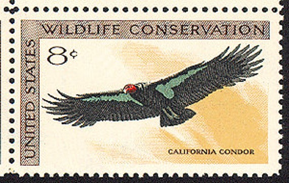 Four 4 unused postage stamps // Coastal birds // postcard rate
