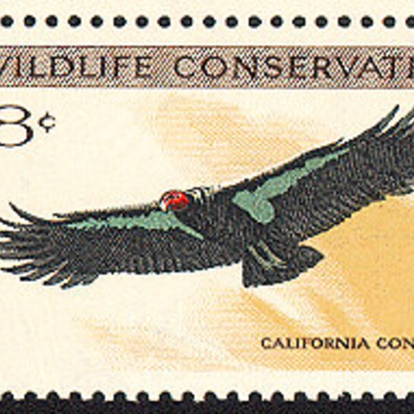 15x CALIFORNIA CONDOR BIRD Endangered Wildlife Conservation 1971 8c Unused Postage Stamp Free Shipping! #1 Best prices on Vintage stamps