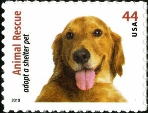 Golden Retriever Metal Stamp  Dog Breed Jewelry Stamp – Stamp Yours