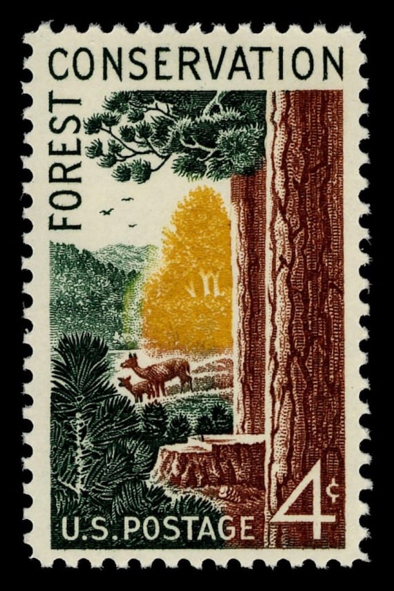 20x FOREST CONSERVATION TREES John Muir 1958 4c Unused Postage Stamp Free Shipping. #1 source Best prices on Vintage postage stamps