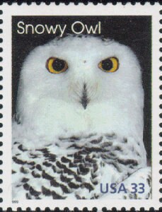 5x SNOWY OWL Arctic Animals 1999 33c Unused Vintage Postage Stamp  Free Shipping! Your #1 source wit