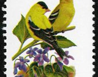 6x NEW JERSEY State Bird Flower Violet Flora Fauna 1982 20c Unused Postage Stamp Free Shipping! #1 Source Best prices on Vintage stamps