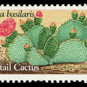 May include: A 20-cent US postage stamp featuring a green beavertail cactus with pink flowers. The stamp reads "Opuntia basilaris" and "Beavertail Cactus".