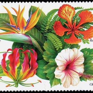 8x FLORES TROPICALES Lirio Hibisco Poinciana 4 sellos postales diferentes de 1999 33c sin usar Envío gratis Fuente n.° 1 Los mejores precios en sellos antiguos
