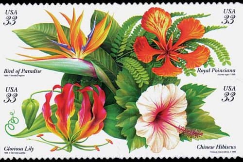 6 Australia Botanical Vintage Postage Stamps, Flower, Plants, Styling  Stationery, Wedding Calligraphy, Wildflower, Pink Flowers f1