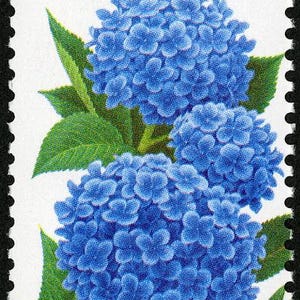 3x Blue Hydrangea GARDEN FLOWERS Wedding Invitations 1995 32c Unused Postage Stamp Free Shipping! #1 source Best prices on Vintage stamps image 2
