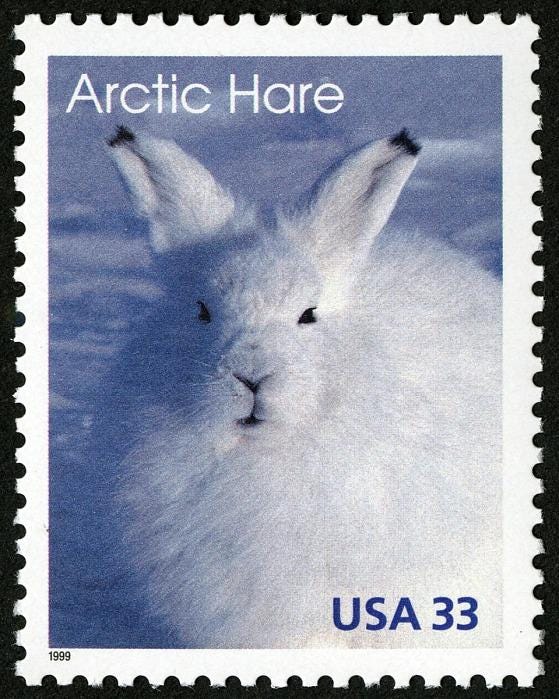 (おまとめ済み)外国未使用切手　ノルウェー　2004年　野ウサギ　1枚 おまとめ済み)外国未使用切手 ノルウェー 2004年 野ウサギ 1枚 お