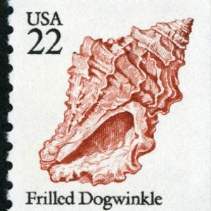 SEASHELLS Beach Shells Ocean 5 Diff 1985 22c Brown Unused Postage ...