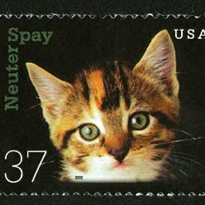 May include: A US postage stamp featuring a close-up of a tabby kitten with green eyes. The stamp is green and white with the text "Spay Meuter" and "USA" and the number "37".