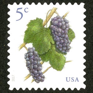 GRAPES ワイン フルーツ パープル 5セント 未使用切手 20枚。送料無料！ヴィンテージ切手最安値No.1