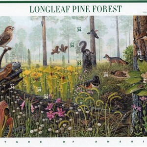 BOSQUE DE PINOS DE HOJAS LARGAS Hoja de 10 sellos postales diferentes de 2002 de 34 c sin usar ¡Envío gratis! La fuente número 1 con los mejores precios en sellos antiguos