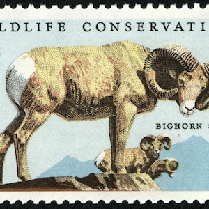10x BIGHORN SHEEP Colorado Montana Wildlife Conservation 1972 8c Unused Postage Stamp Free Shipping #1 source Best prices on Vintage stamps