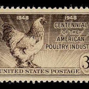 20x CHICKENS ROOSTER POULTRY 1948 3c Brown Unused Vintage Postage Stamp Free Shipping! #1 source Best prices on Vintage stamps