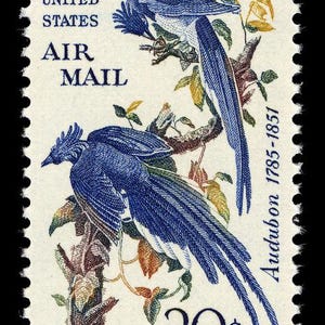7x AUDUBON BIRDS Columbia Jays Painting Airmail 1967 20c Blue Sello postal sin usar ¡Envío gratis! ¡La fuente número 1 de los mejores precios en sellos antiguos!
