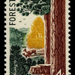 20x FOREST CONSERVATION TREES John Muir 1958 4c Unused Postage Stamp Free Shipping. #1 source Best prices on Vintage postage stamps image 2