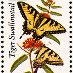 Butterfly Stamp Sheet, 50 Stamps, 13 Cent US Postage Stamps, 1977, Dogface,  Swallowtail, Orange-tip, Checkerspot 