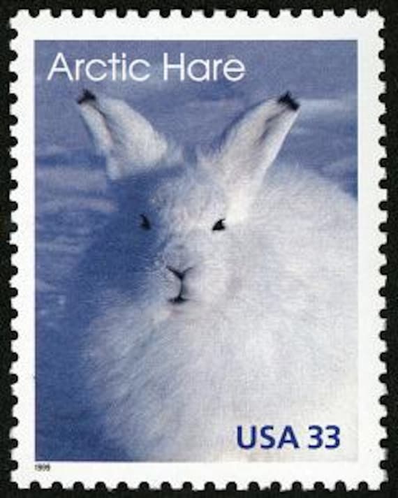 北極ウサギ ウサギ イースターバニー 動物 1999年 33セント 未使用切手