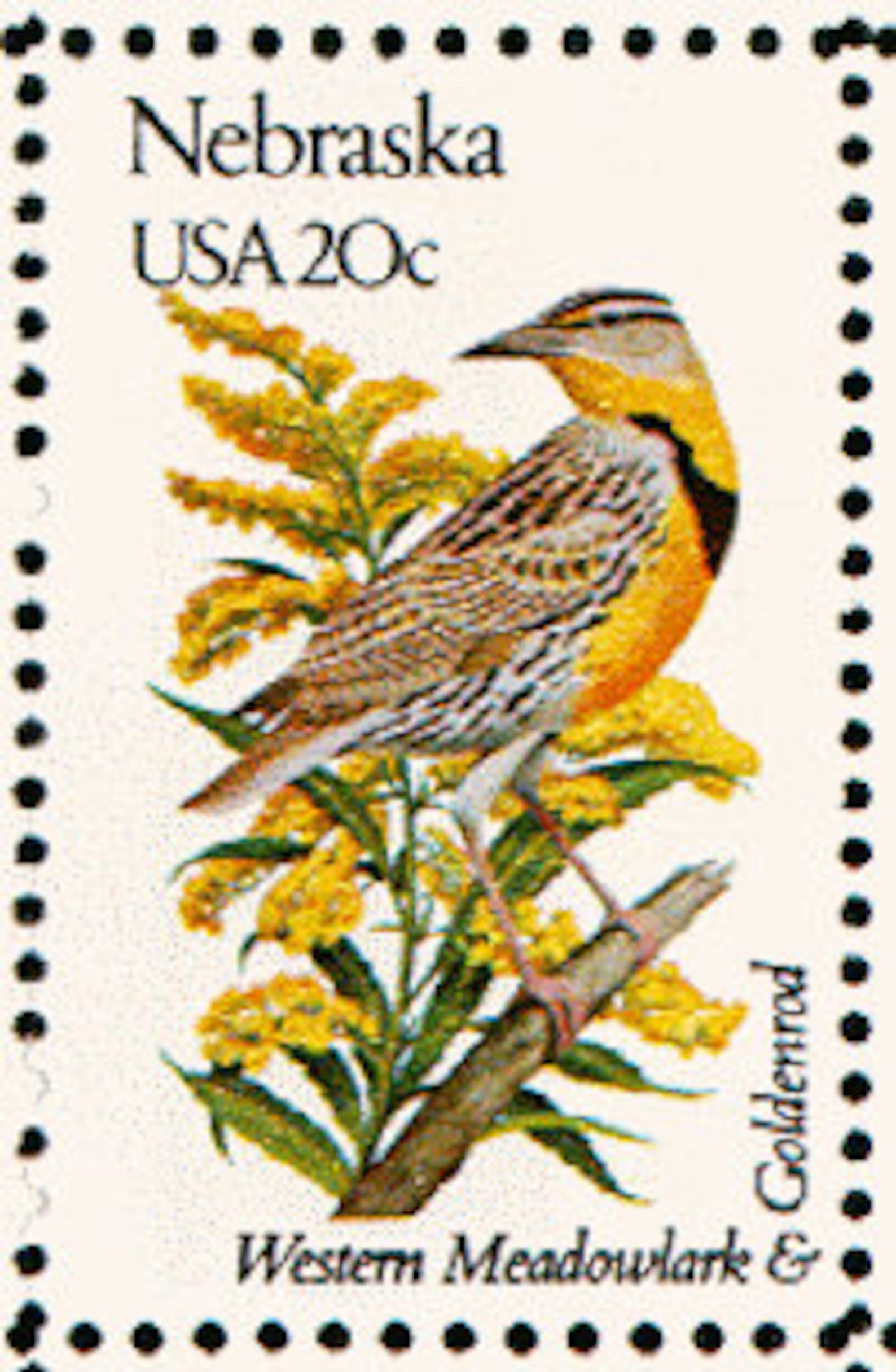 7x NEBRASKA State Bird & Flower Flora Fauna 1982 20c Unused - Etsy
