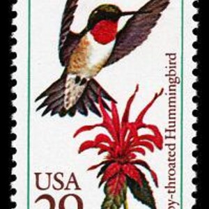 Pode incluir: Um selo postal americano vintage que mostra um beija-flor de garganta rubi em voo com uma flor vermelha. O selo é verde e marrom com o texto "USA 29" e "Ruby-throated Hummingbird".