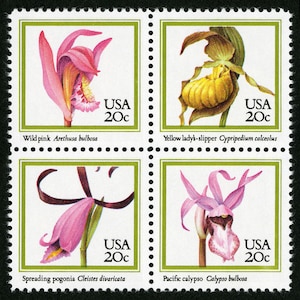 Puede incluir: Cuatro sellos postales de Estados Unidos con ilustraciones de diferentes tipos de orquídeas. Los sellos son verdes con puntos negros alrededor de los bordes. El sello de la parte superior izquierda muestra una orquídea silvestre rosa con el texto "Wild pink Arethusa bulbosa" y "USA 20c". El sello de la parte superior derecha muestra una orquídea amarilla de dama con el texto "Yellow lady's-slipper Cypripedium calceolus" y "USA 20c". El sello de la parte inferior izquierda muestra una orquídea pogonia rosa con el texto "Spreading pogonia Cleistes divaricata" y "USA 20c". El sello de la parte inferior derecha muestra una orquídea calypso rosa con el texto "Pacific calypso Calypso bulbosa" y "USA 20c".