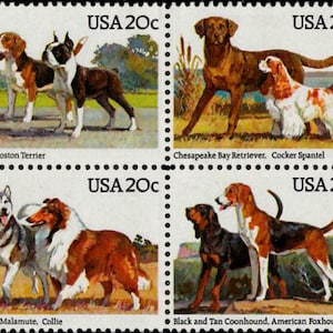 May include: A vintage set of four US postage stamps featuring different dog breeds. The stamps are 20 cents each and feature a Beagle and Boston Terrier, a Chesapeake Bay Retriever and Cocker Spaniel, an Alaskan Malamute and Collie, and a Black and Tan Coonhound and American Foxhound.