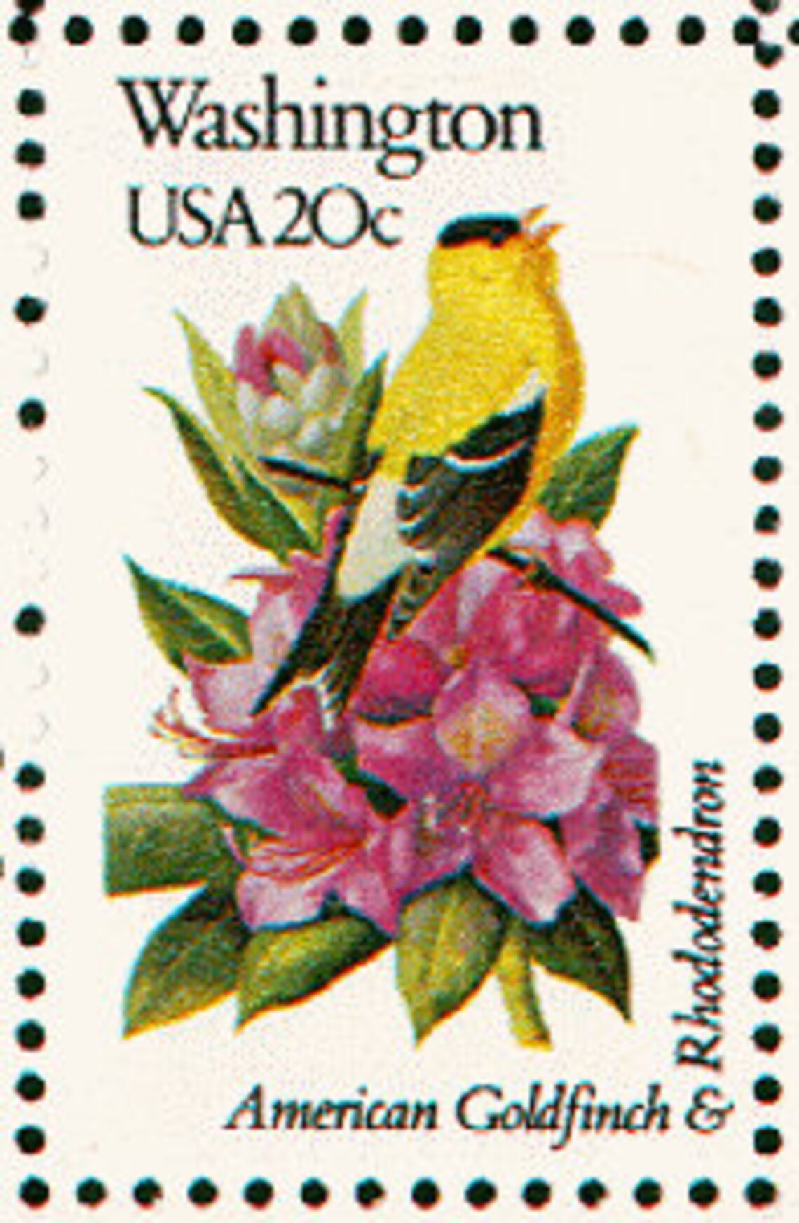 7x WASHINGTON State Bird & Flower Flora Fauna 1982 20c Unused | Etsy