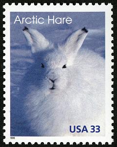 3823 外国切手 イエメンアラブ共和国 1966年 動物 鳥 ウサギ 馬 3種 3823 外国切手 イエメンアラブ共和国 1966年 動物 鳥 ウサギ 馬 3種