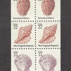 CONCHAS DE MAR Conchas de playa Océano 5 Diff 1985 22c Marrón Sellos postales sin usar ¡Envío gratis! Fuente n.° 1 Los mejores precios en sellos antiguos