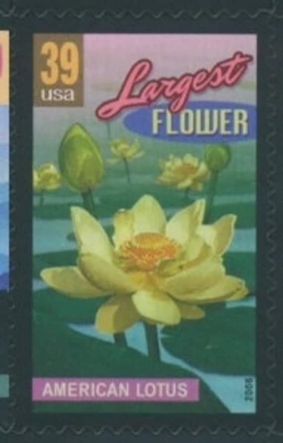 5x LOTUS FLOWER 2006 39c Unused Vintage Postage Stamp. Free Shipping! #1 Source.Best prices on Vintage stamps
