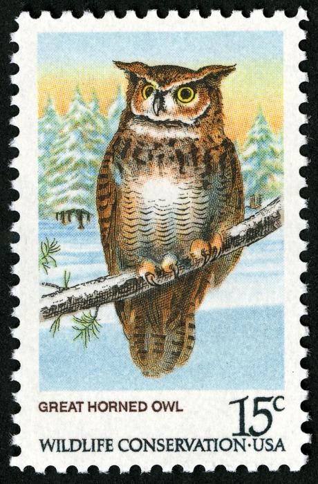 10x Great Horned OWL Strigiformes Birds Raptors Unused 1978 15c Postage Stamp Free Shipping Your #1 